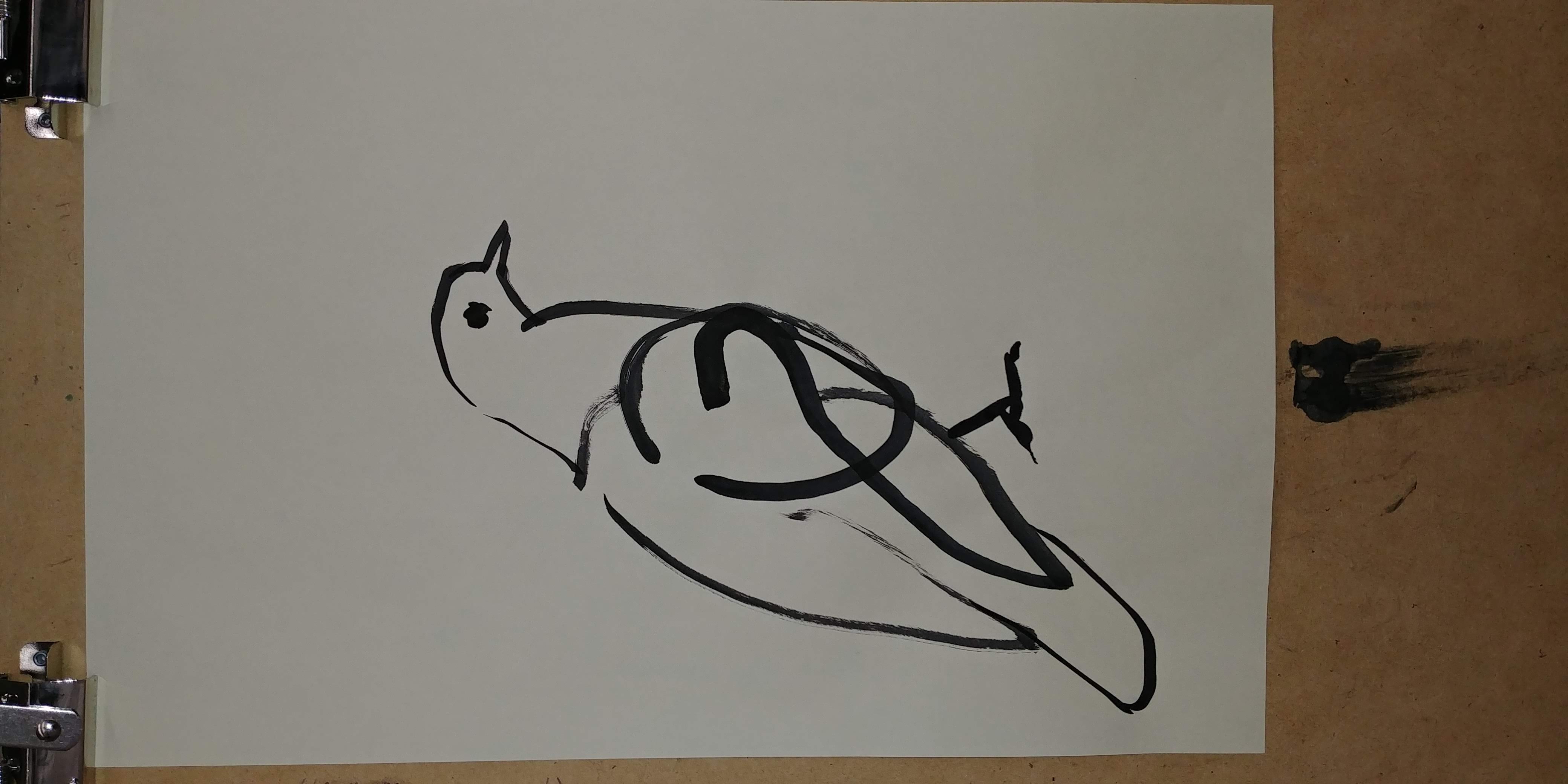 Bird 1